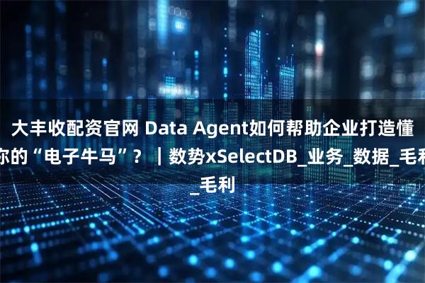 大丰收配资官网 Data Agent如何帮助企业打造懂你的“电子牛马”？｜数势xSelectDB_业务_数据_毛利