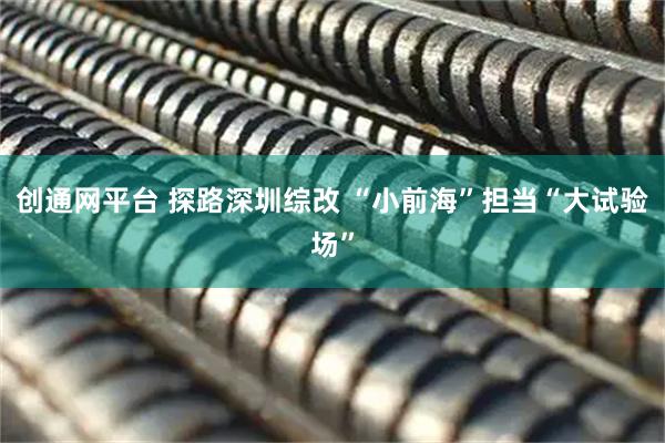 创通网平台 探路深圳综改 “小前海”担当“大试验场”