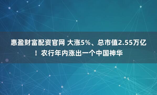 惠盈财富配资官网 大涨5%、总市值2.55万亿！农行年内涨出一个中国神华